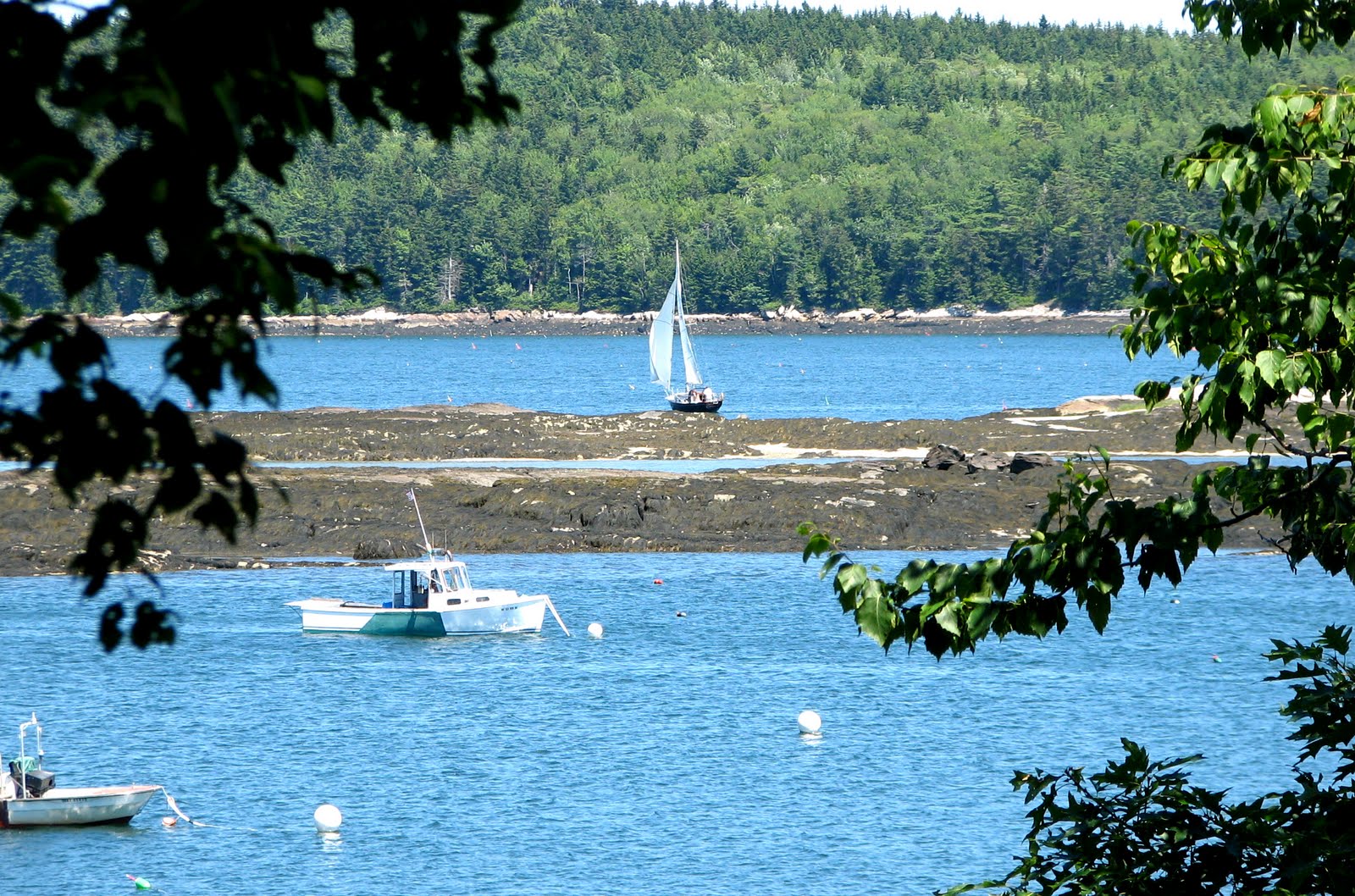 Scooter by the Sea Cundy's Harbor