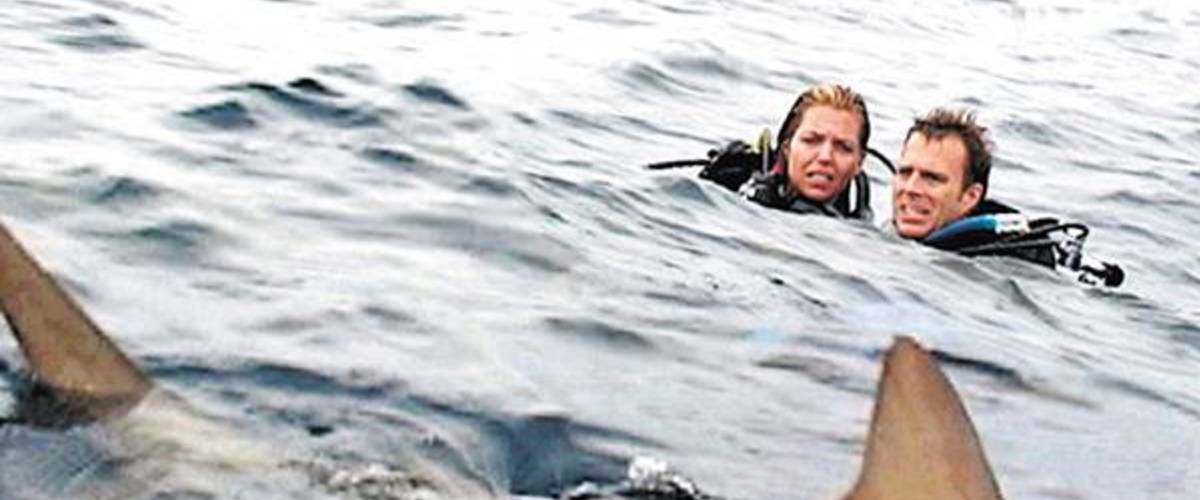 Open water фильм. открытое море монстр глубины 2022. открытое море нетфликс. блэнчард райан открытое море. открытое море 2003 6.