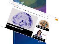 A screenshot of the BrainFacts.org website, superimposed on the cover of Intermediate Physics for Medicine and Biology.