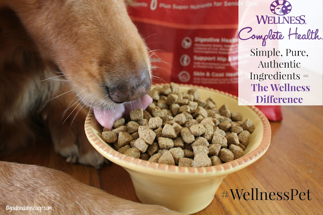 Let Your Dog Shine with the Wellness Difference #wellnesspet #ad simple, pure and authentic ingredients in wellness complete health dog food