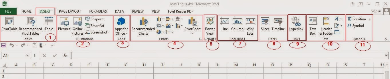 Fungsi Tab Insert Microsoft Excel 2013