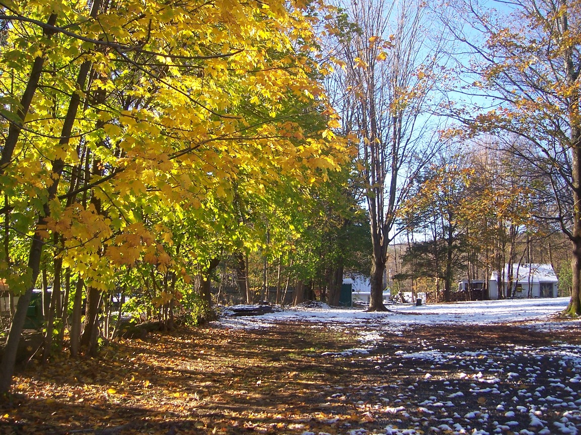 Mower's Saturday Sunday Flea Market First Fall Snow on Maple Lane Woodstock NY
