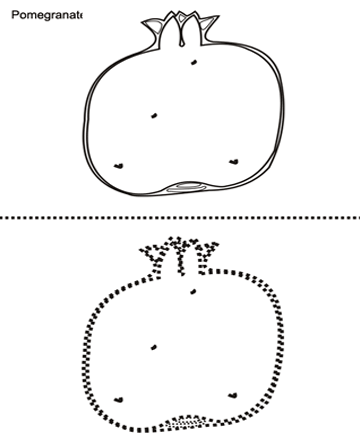 Free Pomegranates Coloring Pages | Learn To Coloring