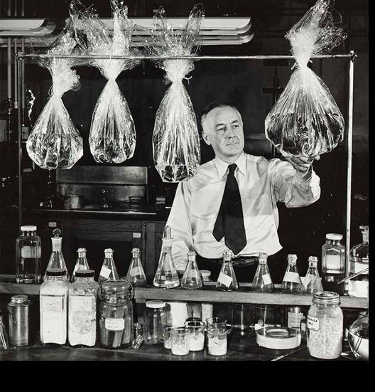 Celofán CELOFÁN/CONCEPTO/OBTENCIÓN/USOS/HISTORIA