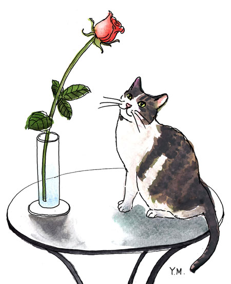 a rose and a cat by Yukié Matsushita