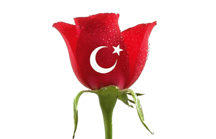 Turk bayragi gul resimleri 4