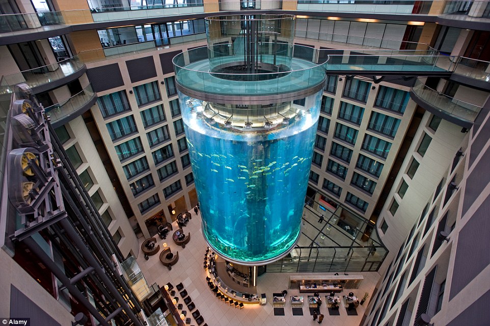 The incredible 82fttall hotel aquarium in Berlin that has an elevator