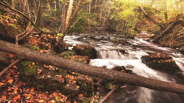 Experience A State Park In Autumn