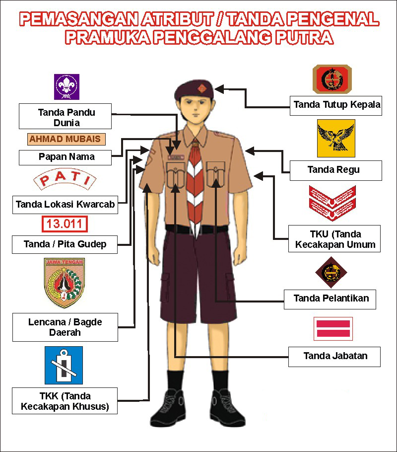 Sejarah Hari Pramuka Di Indonesia Lengkap Dengan Arti Lambang Dan