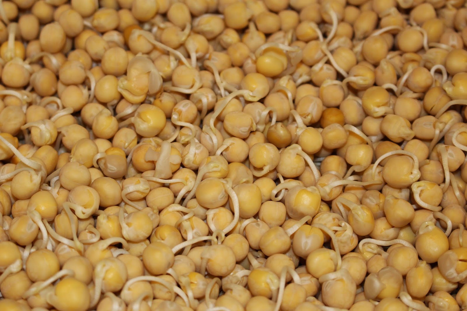 Mom's Kitchen Boiled or Steamed Vatana Bean