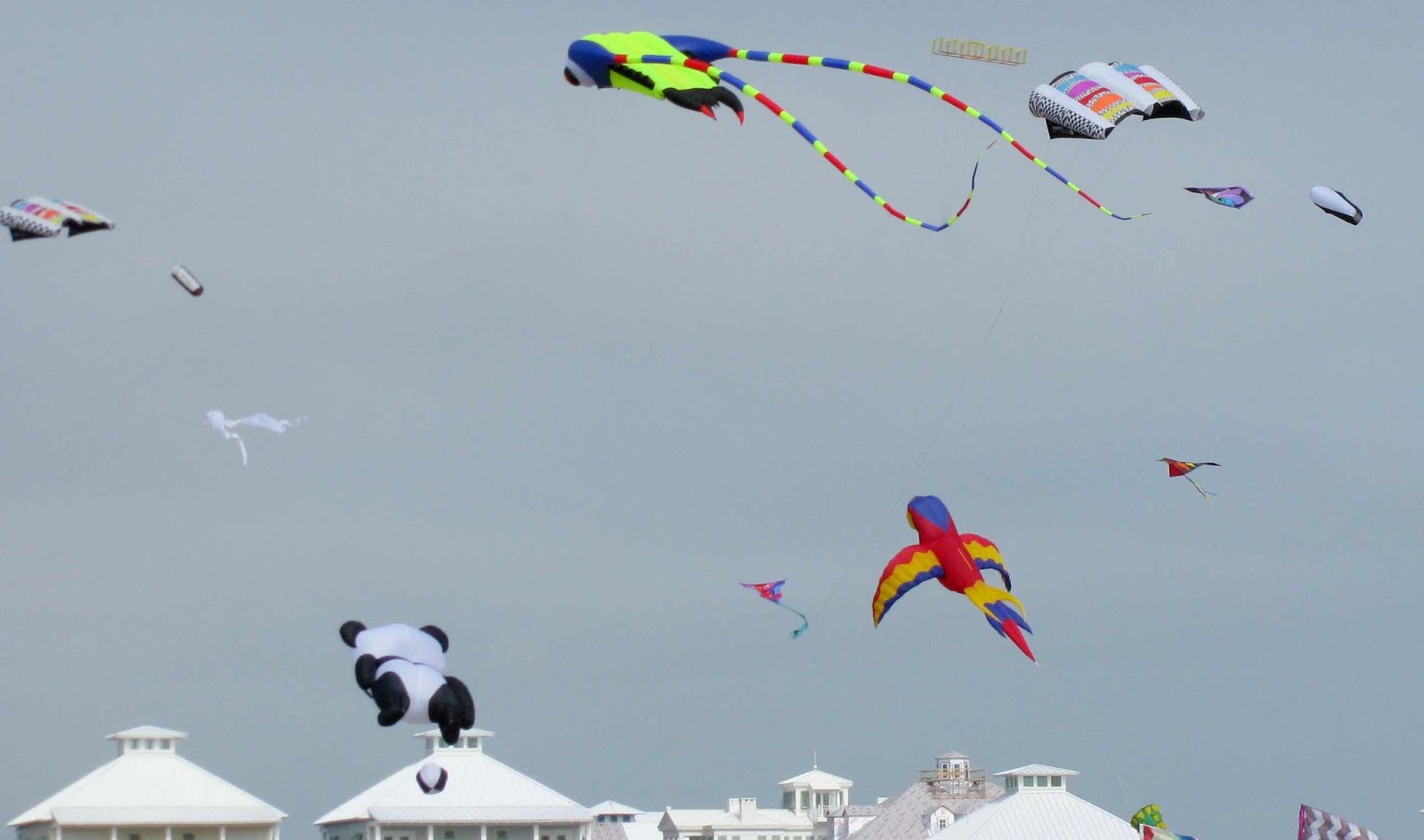Wandering His Wonders South Padre Island Kite Festival