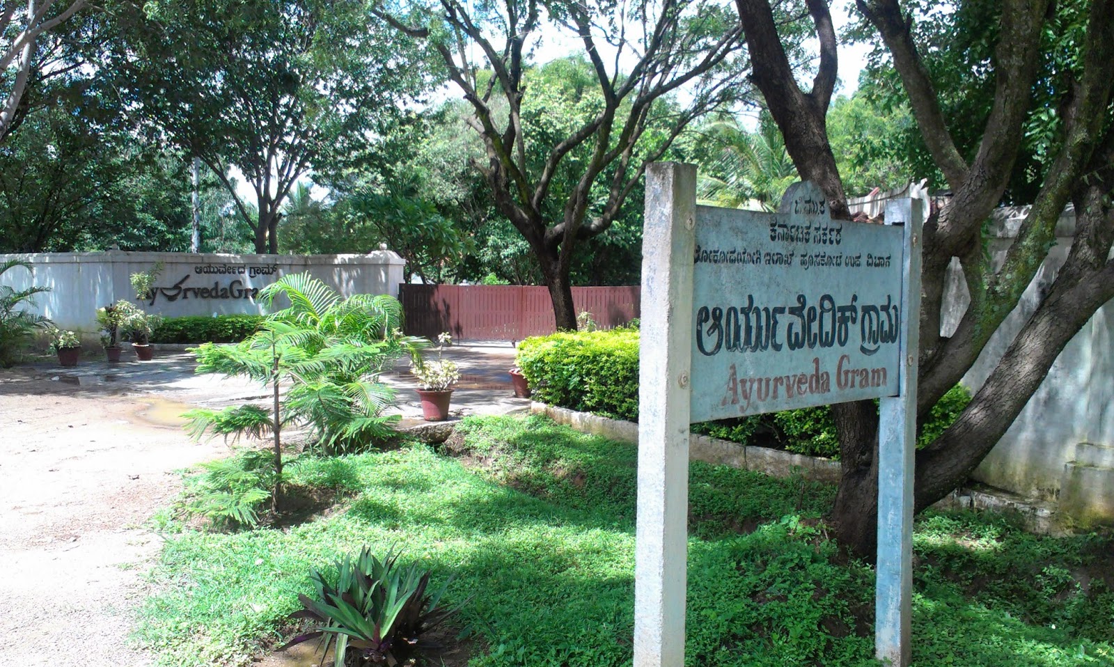 A thing of beauty is a joy forever... My visit to Ayurvedagram The