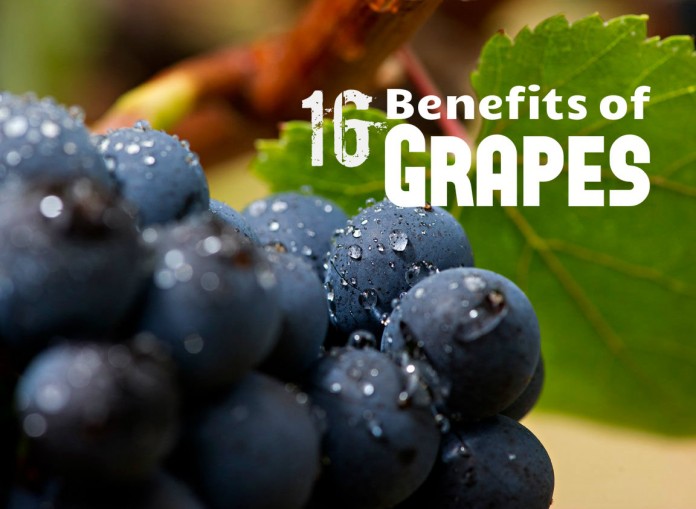 TELUGU WEB WORLD GRAPE FRUITS HEALTH BENEFITS