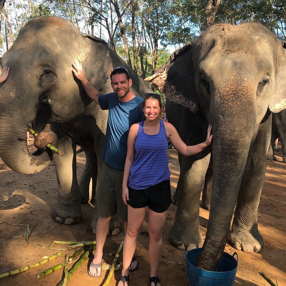 Can You Have An Elephant As A Pet?