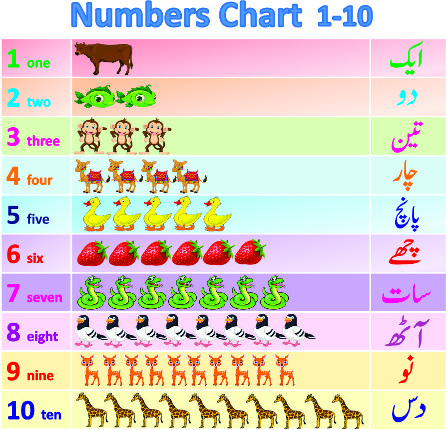 Preschool Counting Chart