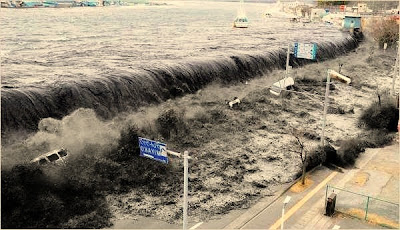 What to Do After Tsunami?