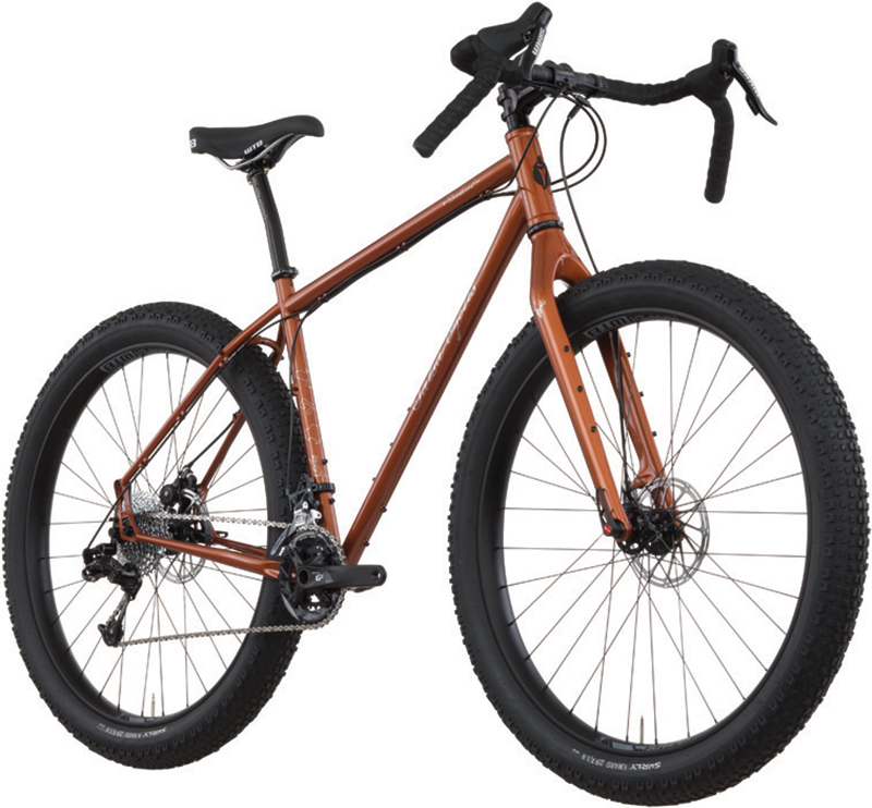 salsa youth bikes