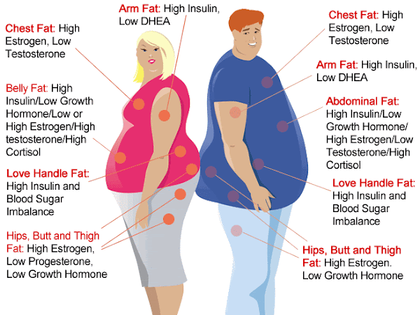 2 Punca Utama Kenapa Anda Gagal Kurus Walaupun Sudah Berdiet. Sila Baca Untuk Ketahui Puncanya