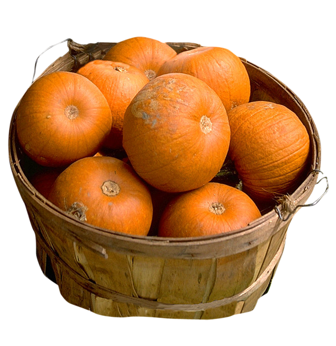 ForgetMeNot: pumpkins in baskets