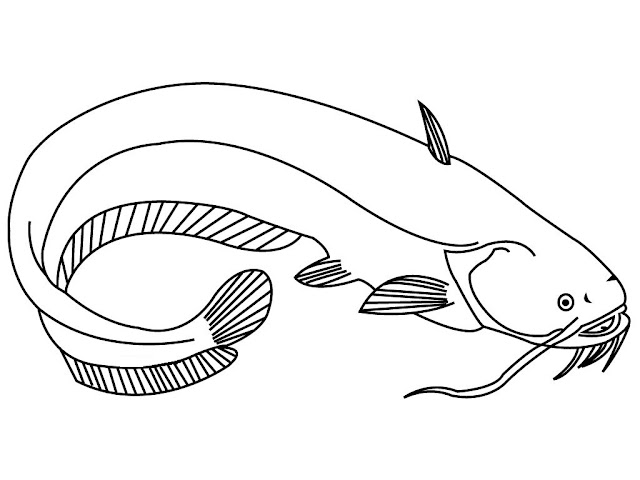 Gambar Mewarnai Ikan Sederhana Art Images Rebanas Lihat