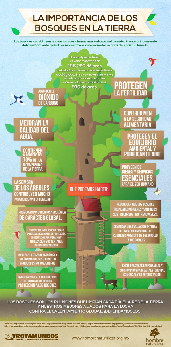 Tu blog de biología y geología CUIDEMOS NUESTROS BOSQUES
