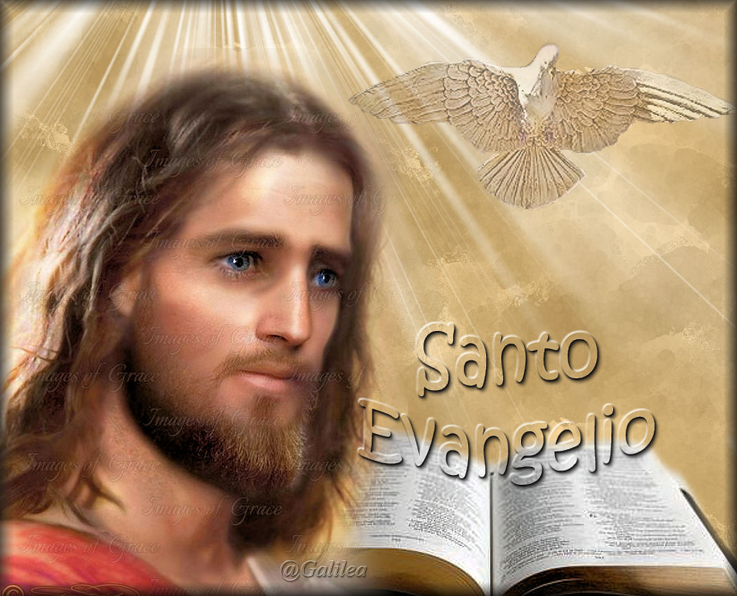 Testimonios para Crecer Santo Evangelio 19 de febrero 2019