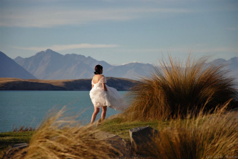 Nowa Zelandia - marzenia nie mają ceny, nie licząc ceny serka wiejskiego.