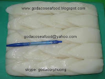 Squid Tube-Block - Loligo spp - Mực ống Tube