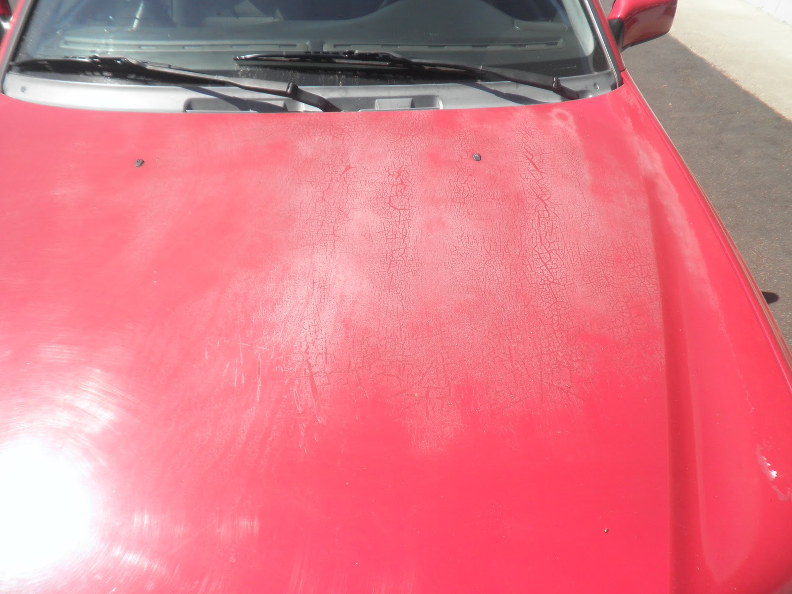 Car Paint Job Cost >> Auto Body-Collision Repair-Car Paint in Fremont-Hayward-Union City-San Francisco Bay: 2000 Volvo ... Car Paint Job Cost >> Auto Body-Collision Repair-Car Paint in Fremont-Hayward-Union City-San Francisco Bay: 2000 Volvo ...