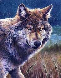 wolf acrylic painting wolves illustration paint hawley alan animal wildlife animals grey deviantart