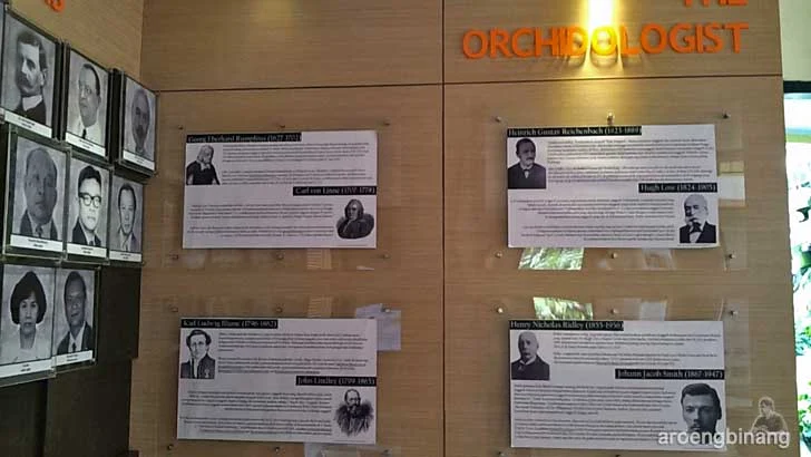 rumah anggrek kebun raya bogor