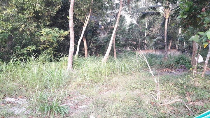 Land For Sale at Punnapra, Alappuzha, Kerala
