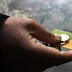 زيادة دعم الفقراء إلى 1000 جنيه شهريا زيادة دعم الفقراء إلى 1000 جنيه شهريا