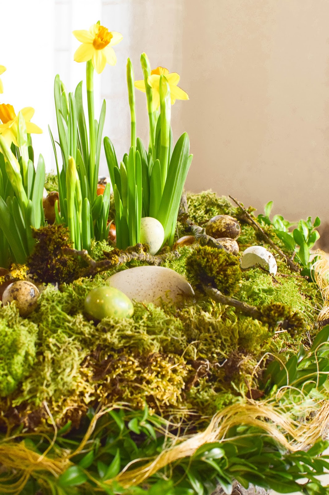 Osterdeko mit Natur: DIY Osternest mit Moos, Holzkorb, Narzissen, Eiern, Buchs. Einfach selbermachen Osterdeko mit Natur: DIY Osternest mit Moos, Holzkorb, Narzissen, Eiern, Buchs. Einfach selbermachen