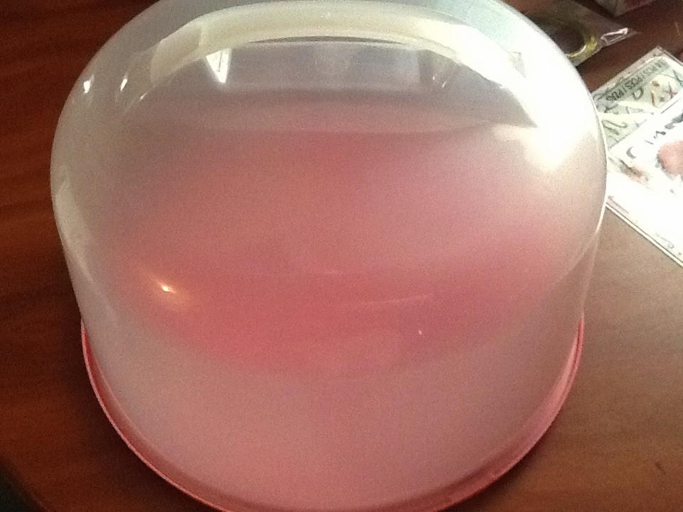 Jodies Kitchen Personalized Cake Carriers