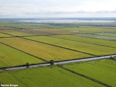 Rio Formoso abastece o maior projeto de produção de grãos irrigados do Tocantins. Foto: Nancim Borges. Rio Formoso, Formoso do Araguaia, Tocantins, Rio Formoso Tocantins, Formoso, seca, irrigação, Projeto Rio Formoso, Projeto Formoso, água, outorga, impacto ambiental, degradação ambiental, blog natureza e conservação, blog natureza, natureza, crise hídrica, produção de grãos