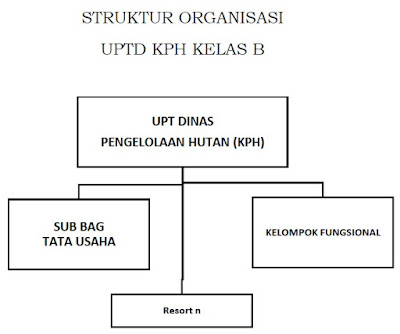 Struktur organisasi UPTD Kesatuan Pengelolaan Hutan (KPH) Kelas B Struktur organisasi UPTD Kesatuan Pengelolaan Hutan (KPH) Kelas B