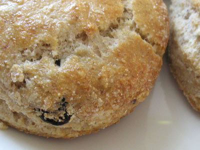 Currant Scones Whole Foods Currant Scones Whole Foods