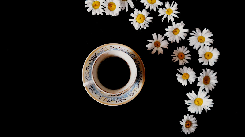 Coffee Cup