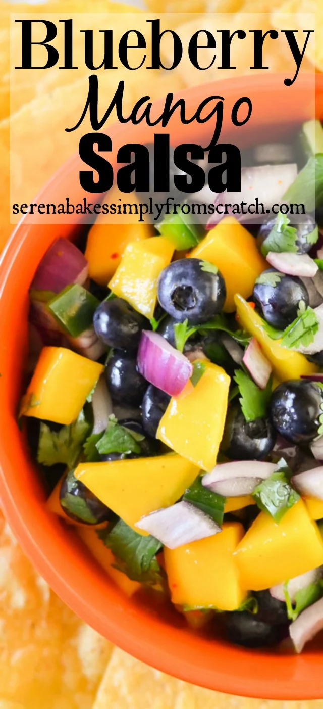 Blueberry Mango Salsa from serenabakessimplyfromscratch.com