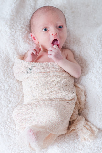 Newborn photos of our sweet little one. 
