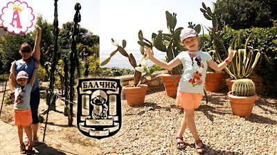 Кактусы ростом с человека и выше, Балчик, Болгария