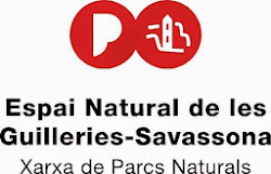 ESPAI NATURAL DE LES GUILLERIES-SAVASSONA