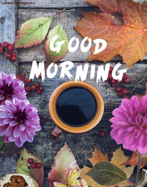 111 Best Coffee Good Morning Images in 2019 good morning images with coffee cups with flower