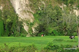 ngarai sianok bukittinggi