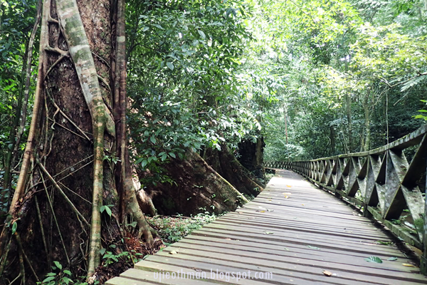 Eksplorasi ke Taman Negara Niah, Sarawak