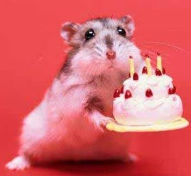 beige hamster holding a tiny birthday cake