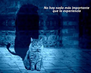 el valor de la experiencia el valor de la experiencia
