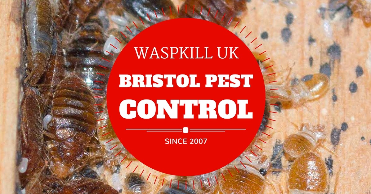 Bristol Pest Control