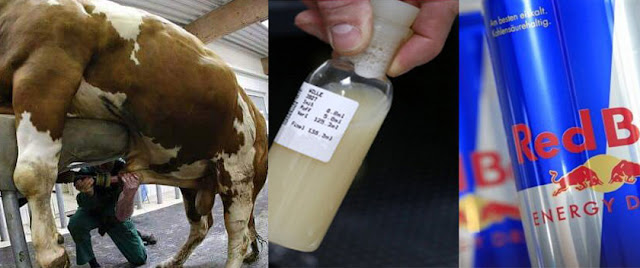 C Est Quoi La Taurine Dans Le Red Bull Savez vous que la plupart des boissons énergétiques contiennent l’urine